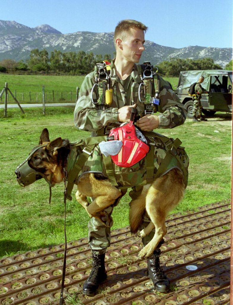 Tomek-Gehrke